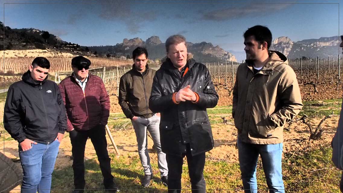 a-pie-de-vina-bodegas-gobel